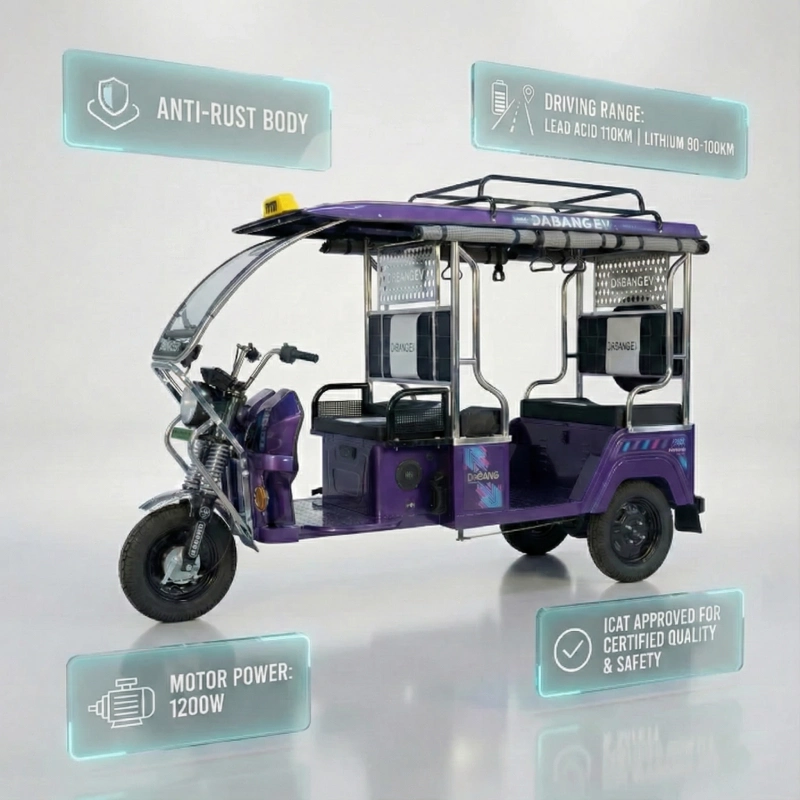 Electric vehicle cargo transport