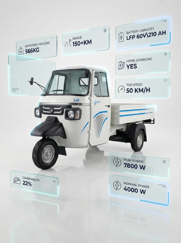 Electric vehicle cargo transport